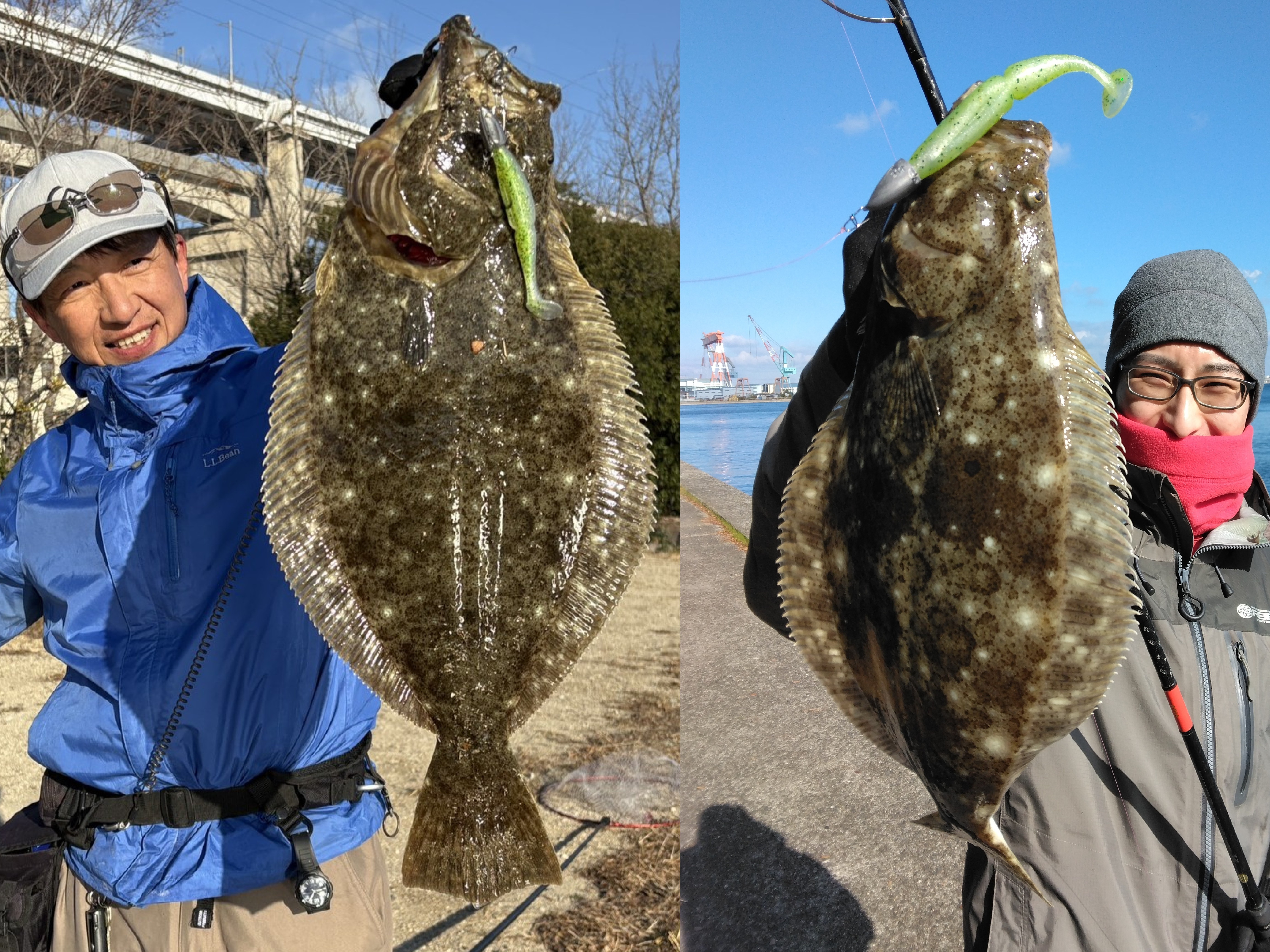 �V���A���o�ލs�L�yVol.158�z���쌧��o�s�̃q�����@2026/1/3